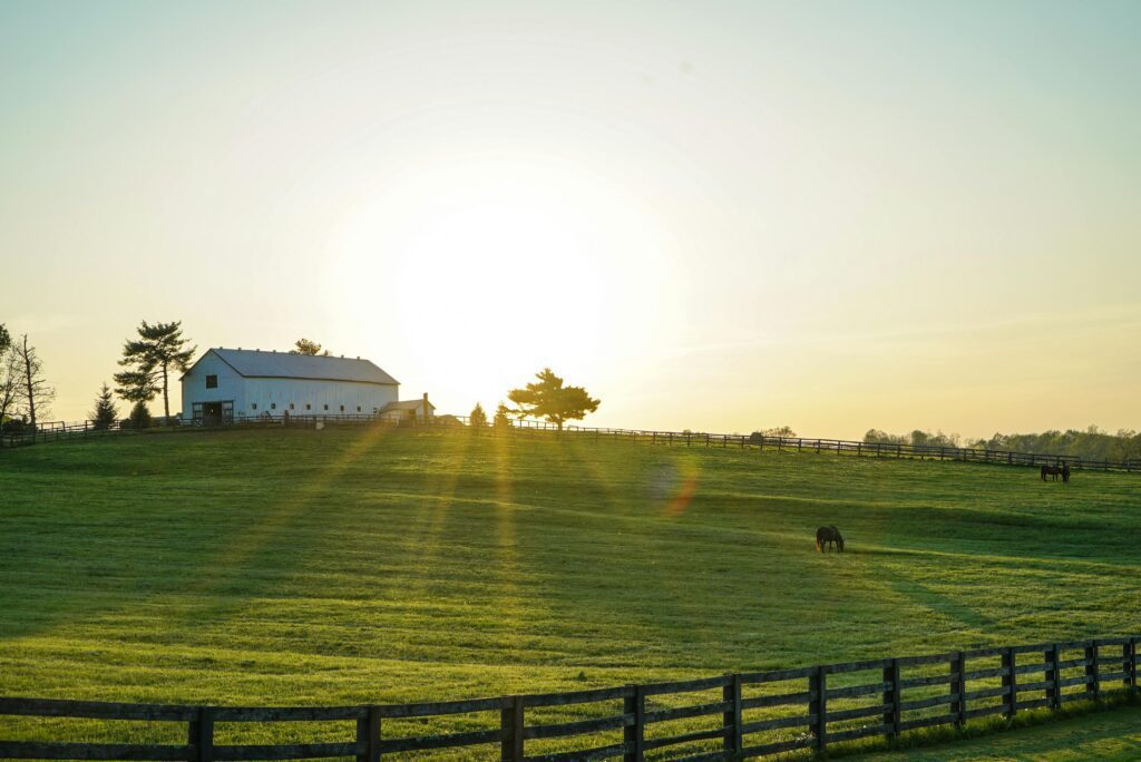 Protecting Ranches and Family Enterprises with Prenuptial Agreements in Montana